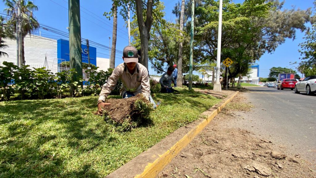 PASTO NUEVO- Mazatlán