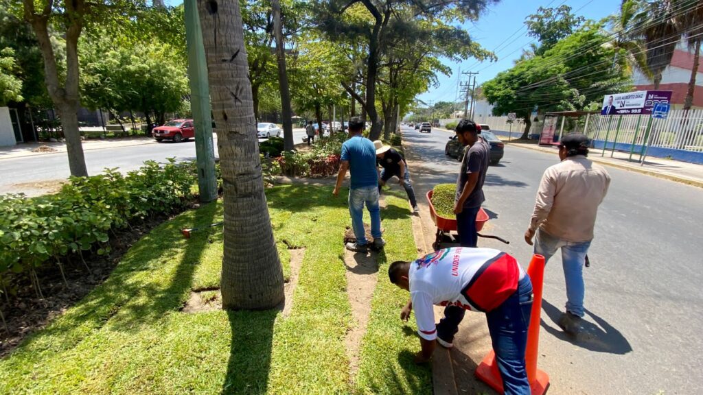 PASTO NUEVO- Mazatlán