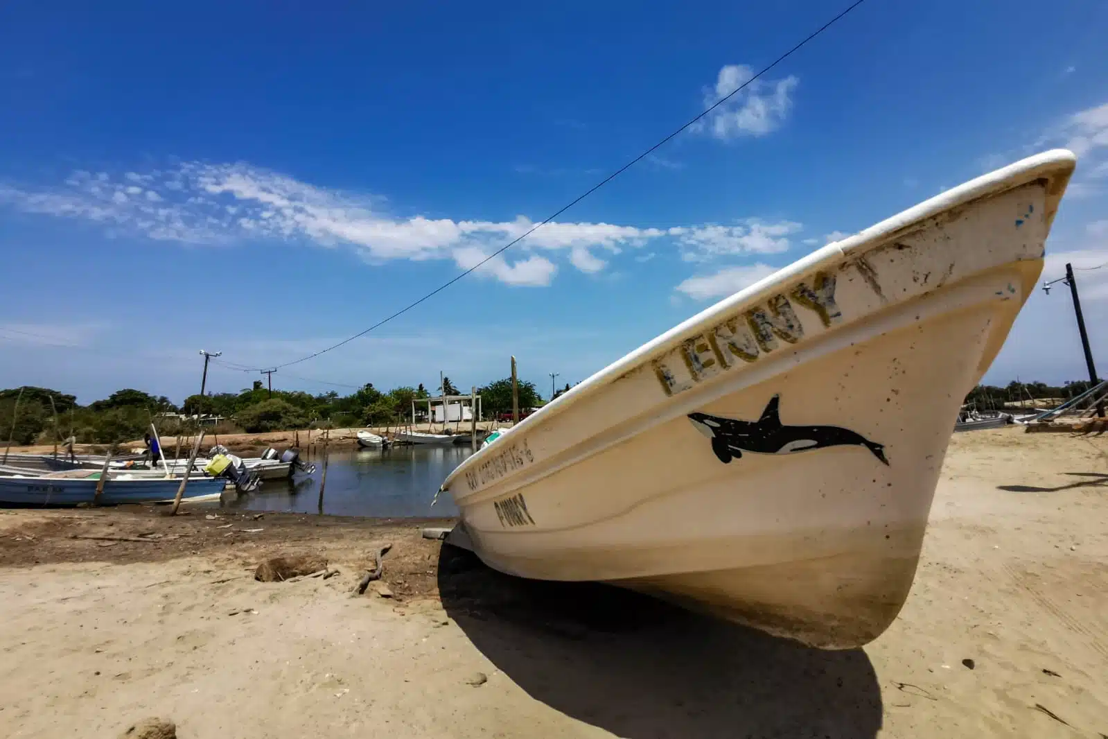 Panga con dibujo de orca y leyenda Lenny en el campo pesquero de Dautillos en Navolato Sinaloa