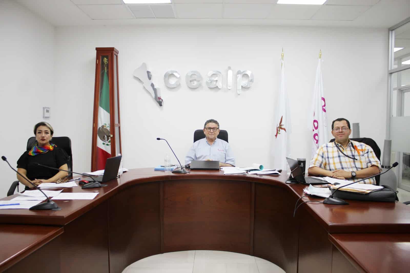 El pleno de la Ceaip resolvió en la sesión ordinaria un total de 37 recursos