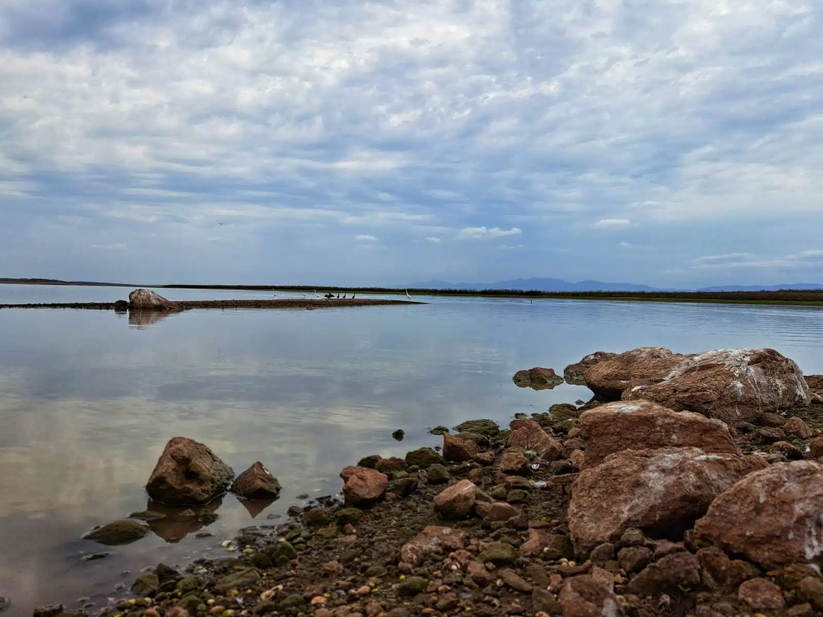 Agua y rocas de la presa de Guamúchil