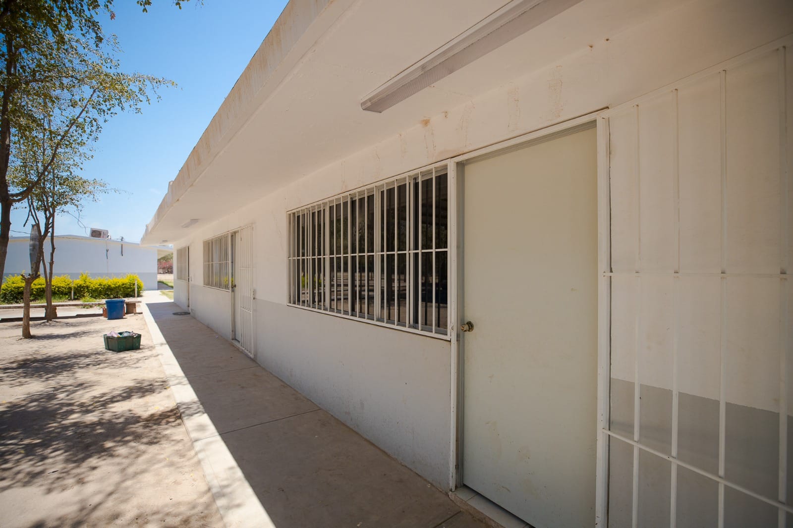 RENUEVAN PRIMARIA