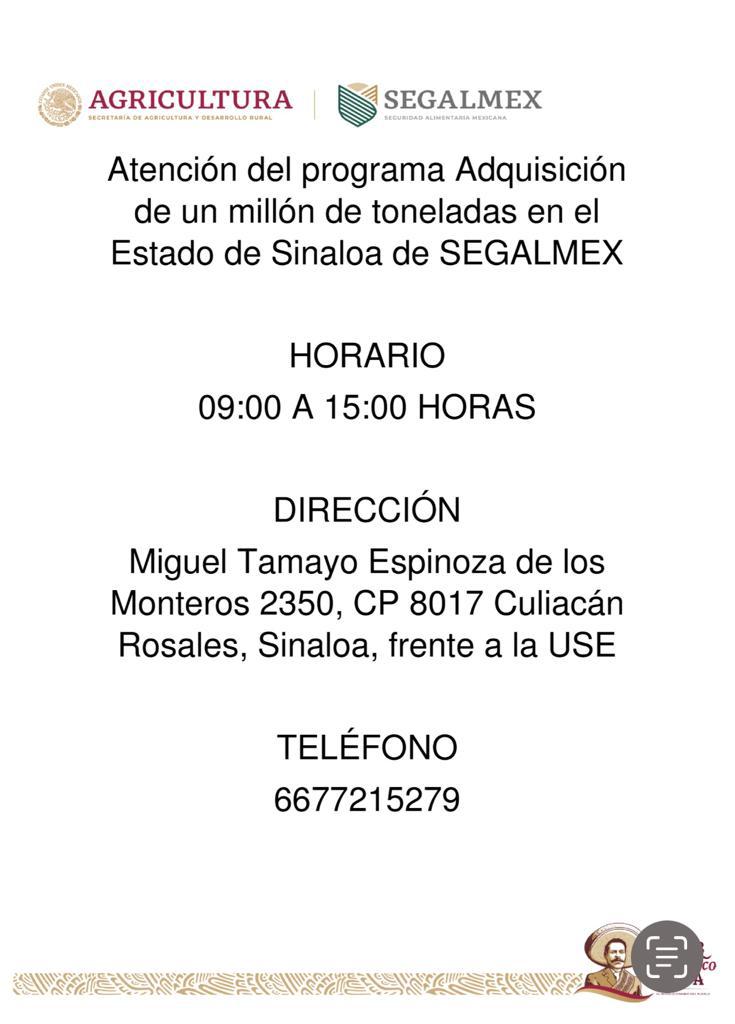 Segalmex anuncia pagos de las primeras 5 mil toneladas de maíz
