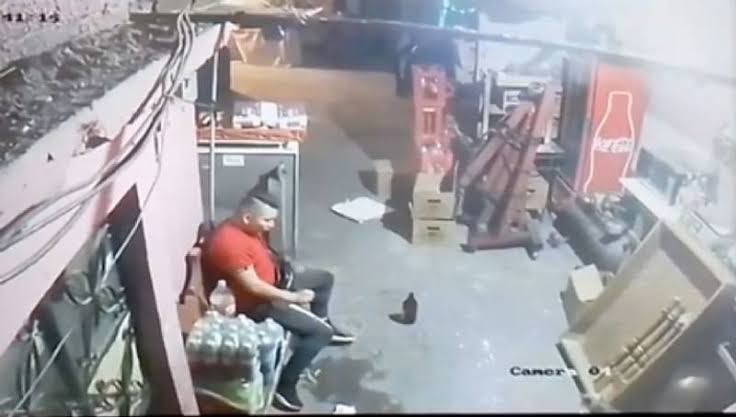 Siguen abusos contra animales; sujeto ahorca a gatito y lo avienta a la basura