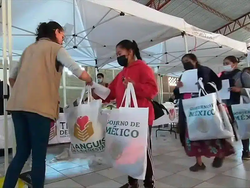 Tianguis del bienestar