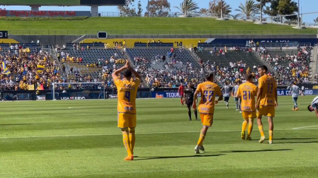 Tigres 