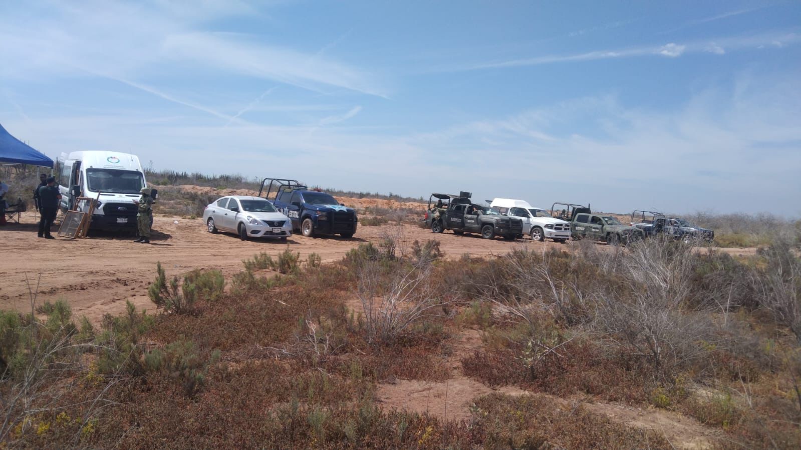 ¡Hallazgo en Angostura! Sabuesos Guerreras localizan 13 fosas clandestinas
