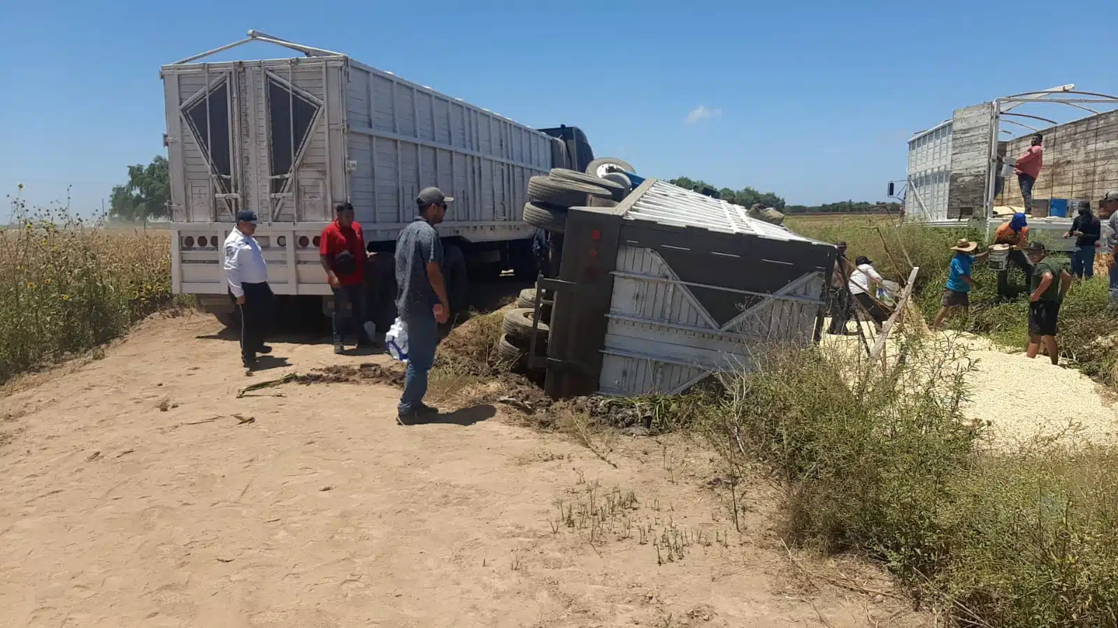 la mayoría de las toneladas del grano que transportaba Joel desde las parcelas que acababan de cosechar, hasta una bodega agrícola, quedaron regadas dentro y fuera del canal.