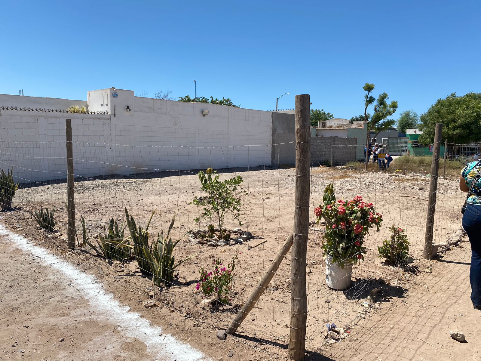 Ejidatarios del ejido Morelos en Los Mochis lotifican un terreno sobre el bulevar Chihuahuita