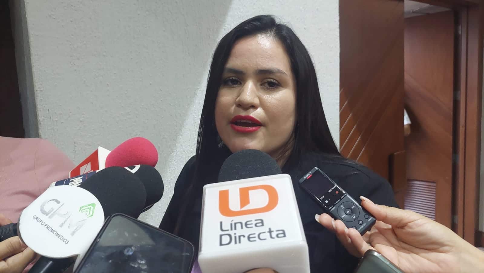 Diputada presidenta de la Comisión de Salud y Asistencia Social del Congreso del Estado, Viridiana Camacho Millán.