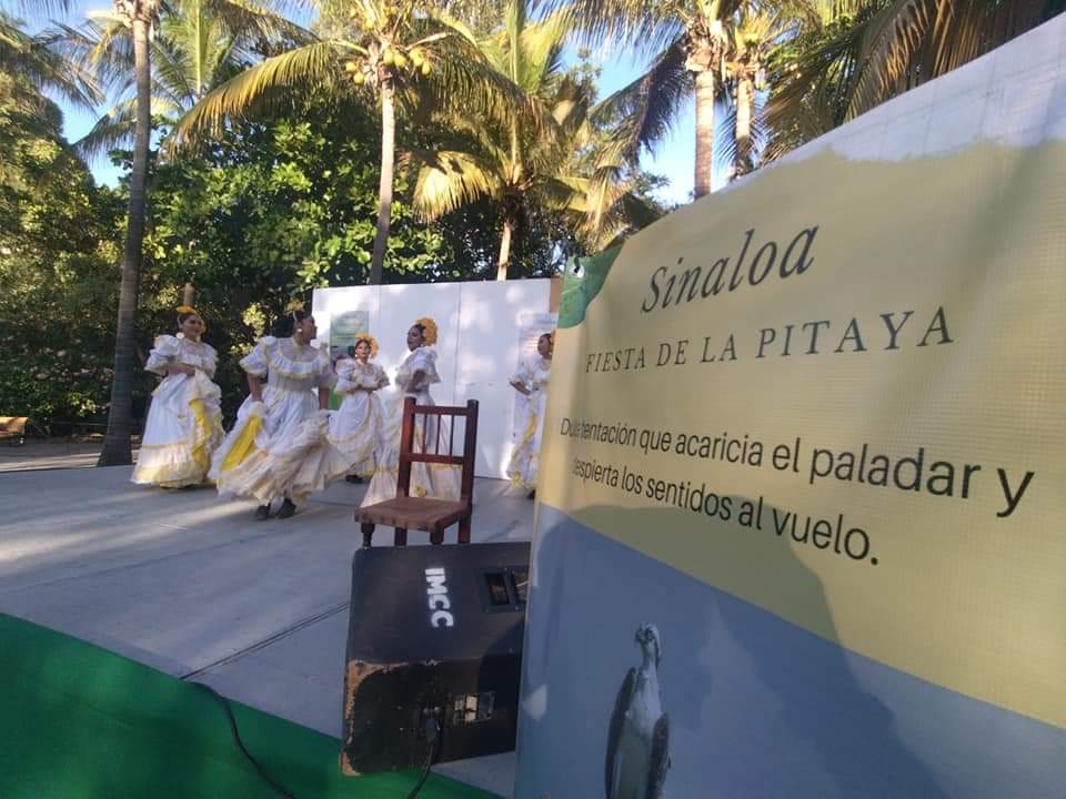 Sinaloenses disfrutan la “Fiesta de la Pitaya” en el Botánico Culiacán