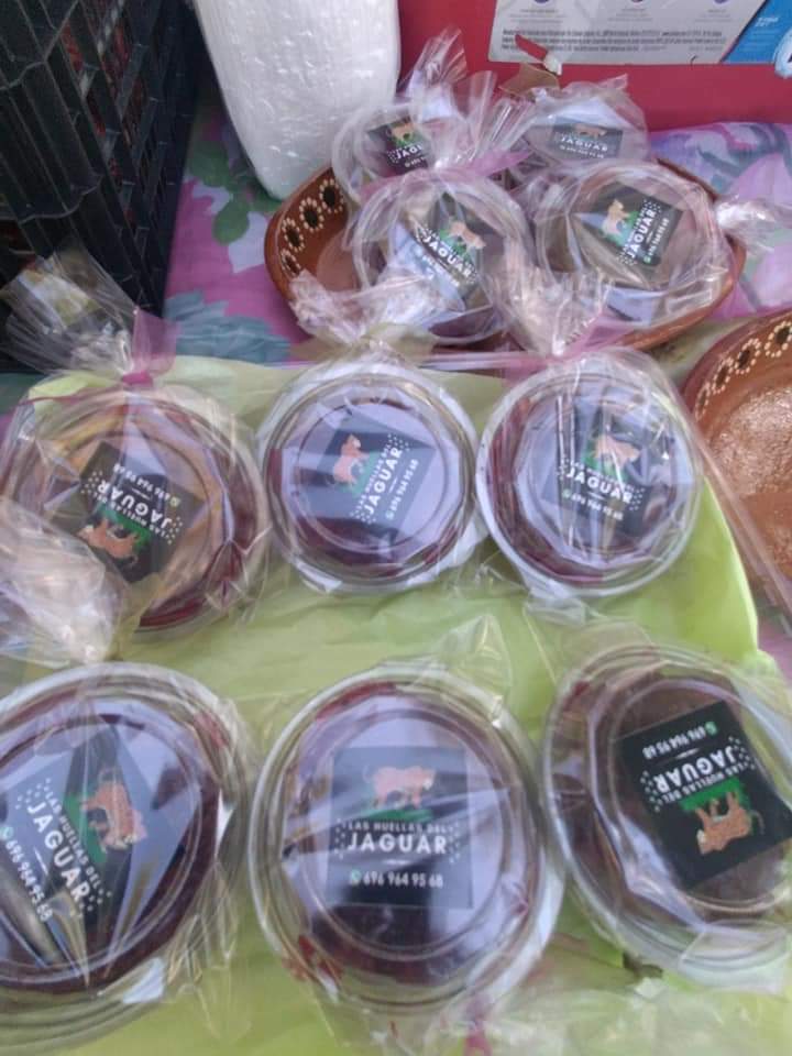 Sinaloenses disfrutan la “Fiesta de la Pitaya” en el Botánico Culiacán