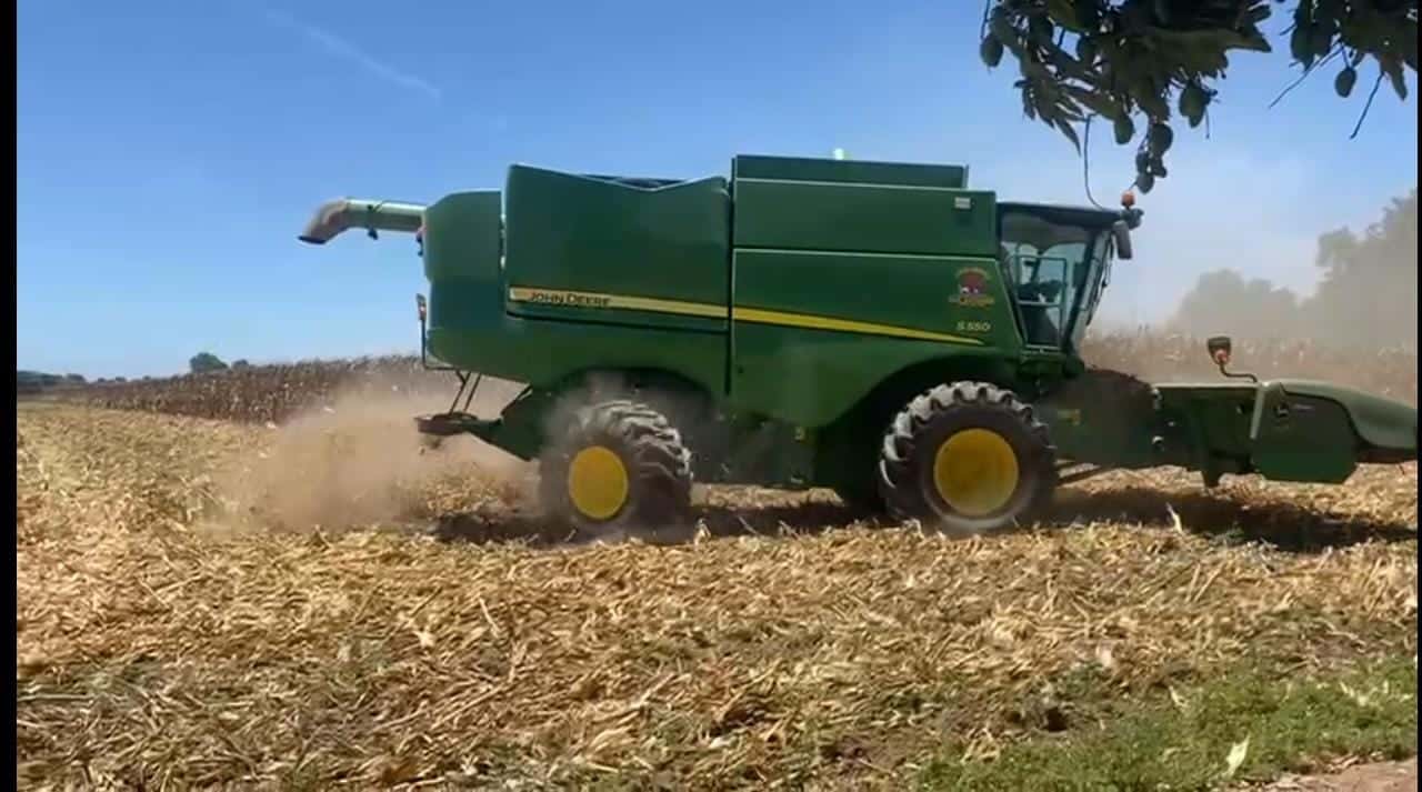Campo Agricultura Sinaloa productores cosecha trilla de maíz trilladora parcela