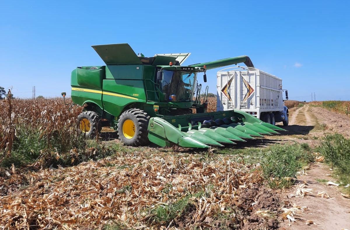 Campo Agricultura Sinaloa productores cosecha trilla de maíz trilladora parcela