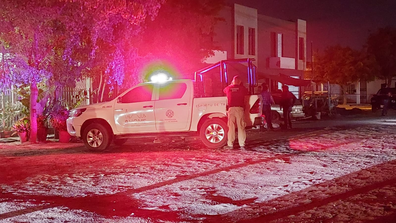 Adulto mayor muere atacado por un enjambre de abejas en Los Mochis
