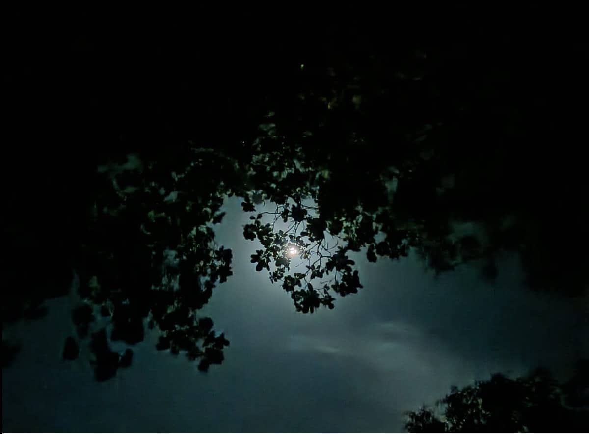 Noche de San Juan