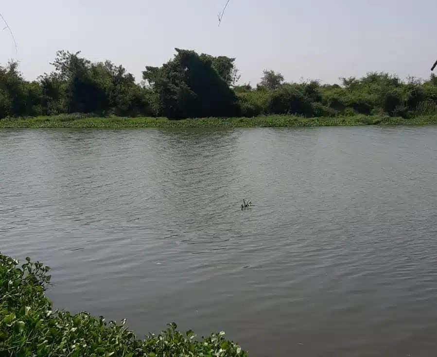 Localizan a hombre sin vida en el río frente al malecón en El Fuerte