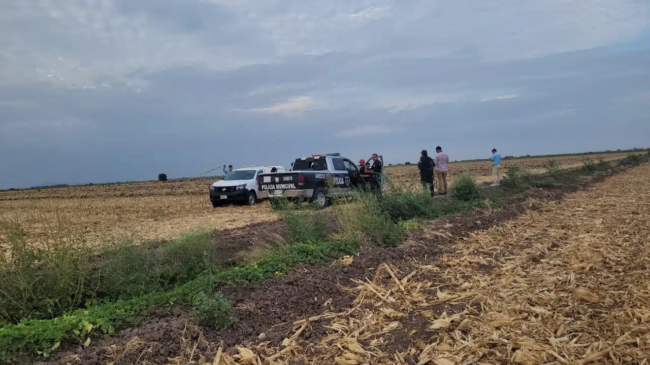 Trabajadores del campo hallan cadáver de un hombre en predio agrícola de Juan José Ríos, Guasave