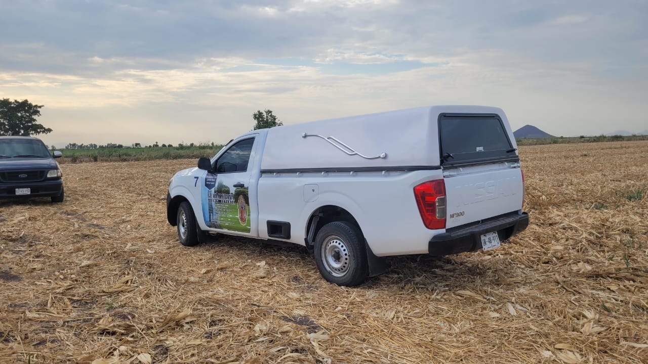 Trabajadores del campo hallan cadáver de un hombre en predio agrícola de Juan José Ríos, Guasave 