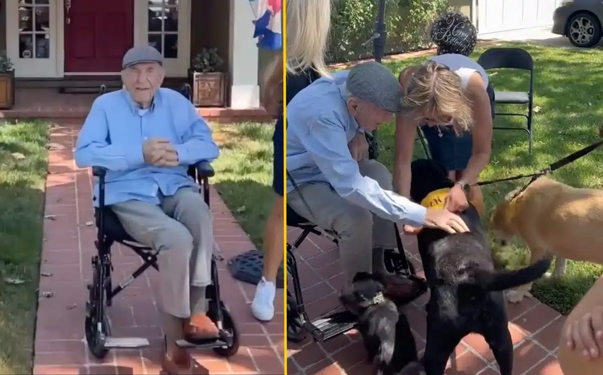 Abuelito celera sus 100 años de vida rodeado de perritos