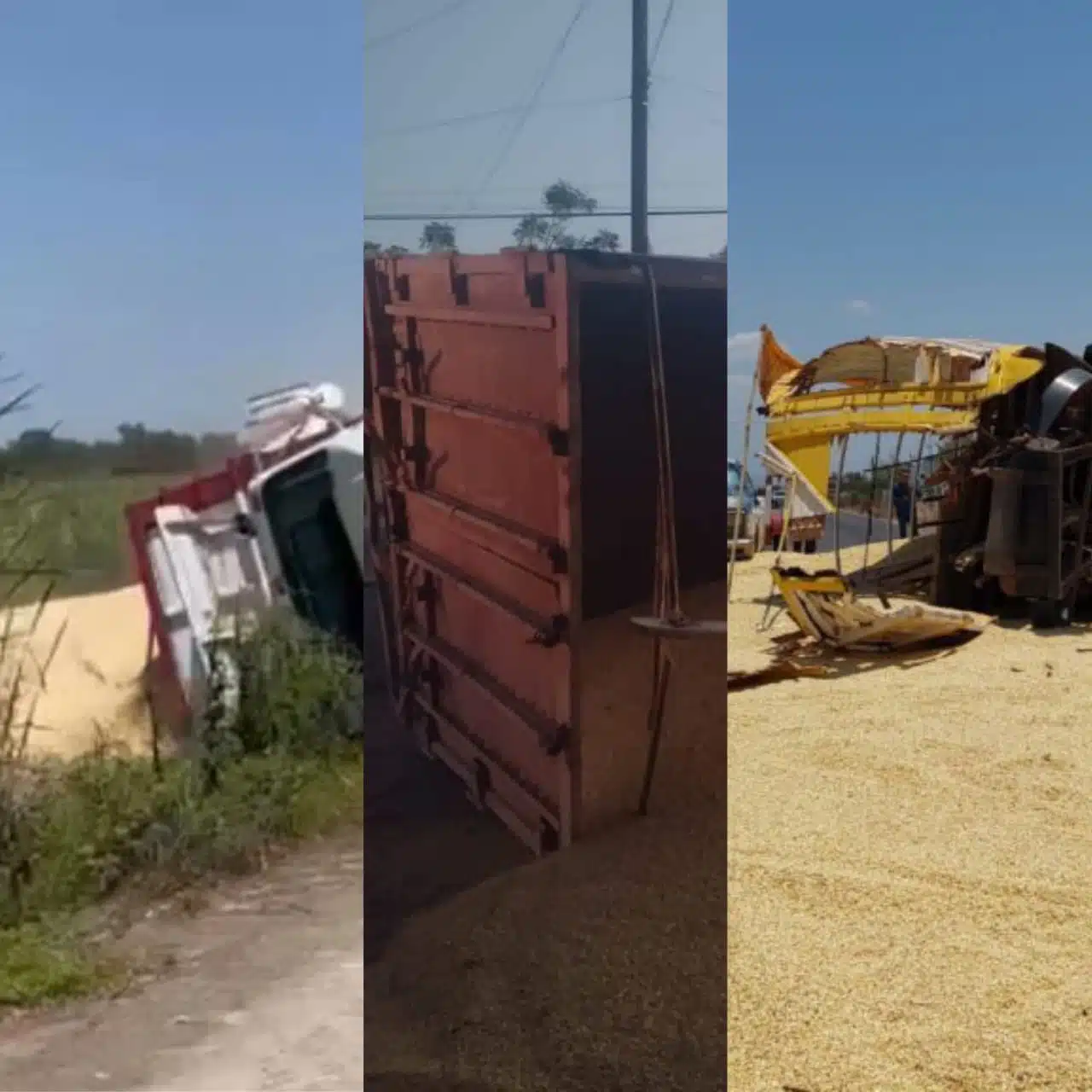 No hay seguros para maíz perdido tras volcadura de camiones.