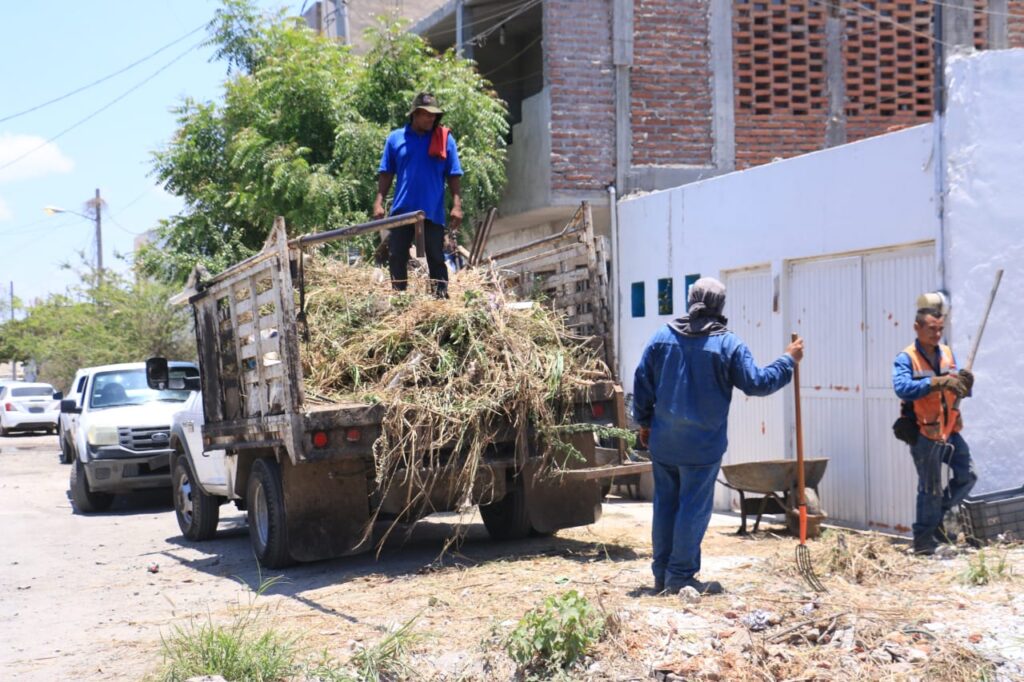 Limpieza pluvial Mazatlán