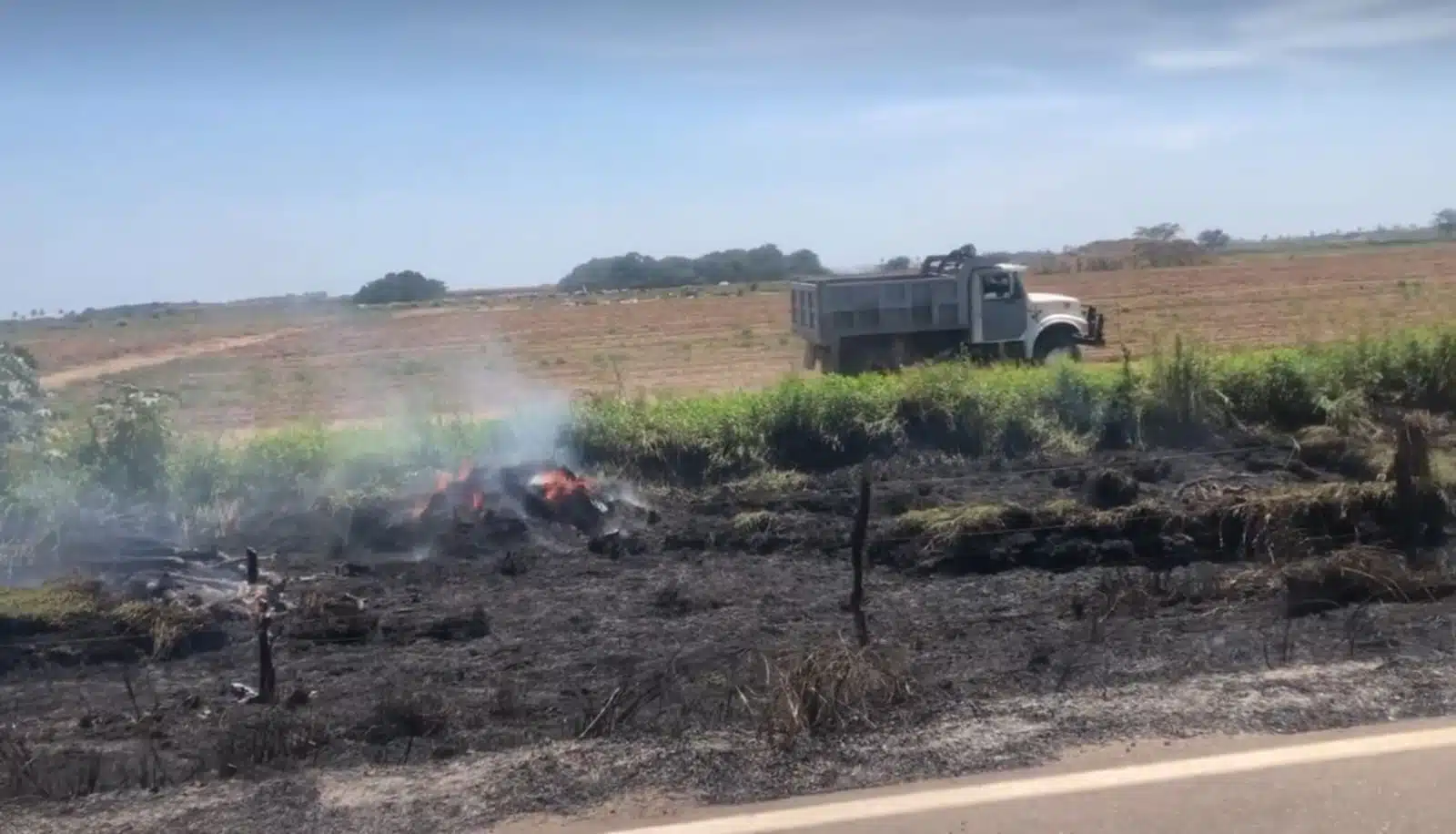 Identifican a maestra que falleció en el accidente en la carretera Escuinapa-Teacapán