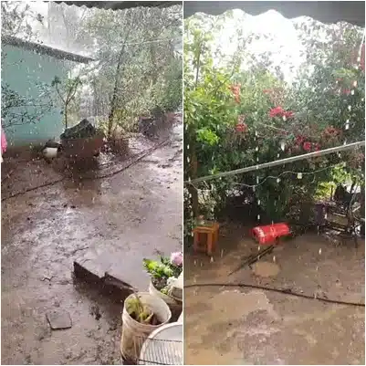 Gotas de lluvia cayendo en el suelo y las plantas, a las afueras de una vivienda
