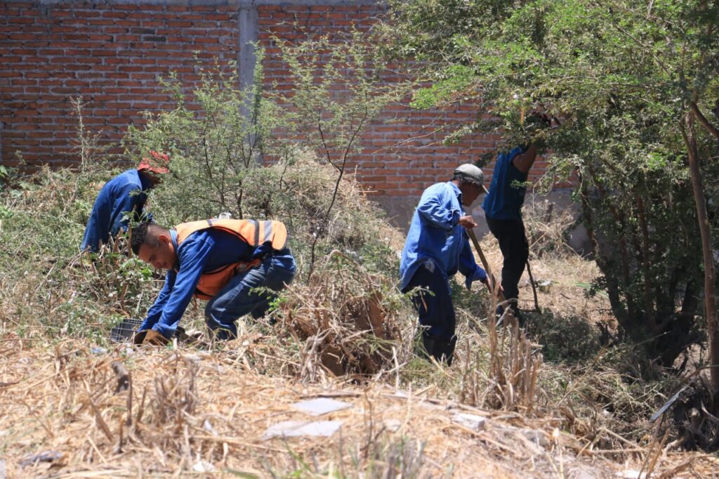 Limpieza pluvial Mazatlán