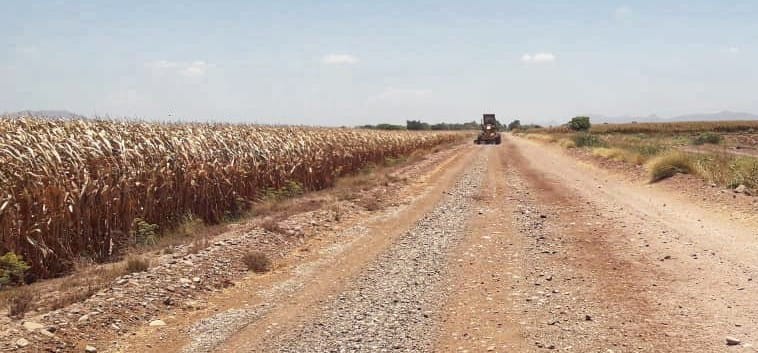 Reparan caminos de terracería para beneficiar sectores de agricultura y acuacultura en Angostura