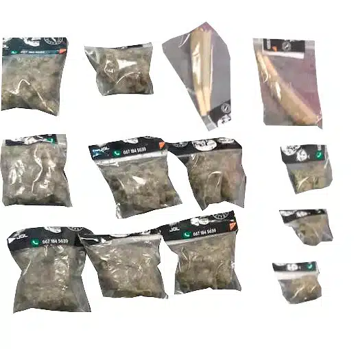 cargamento confiscado-drogas