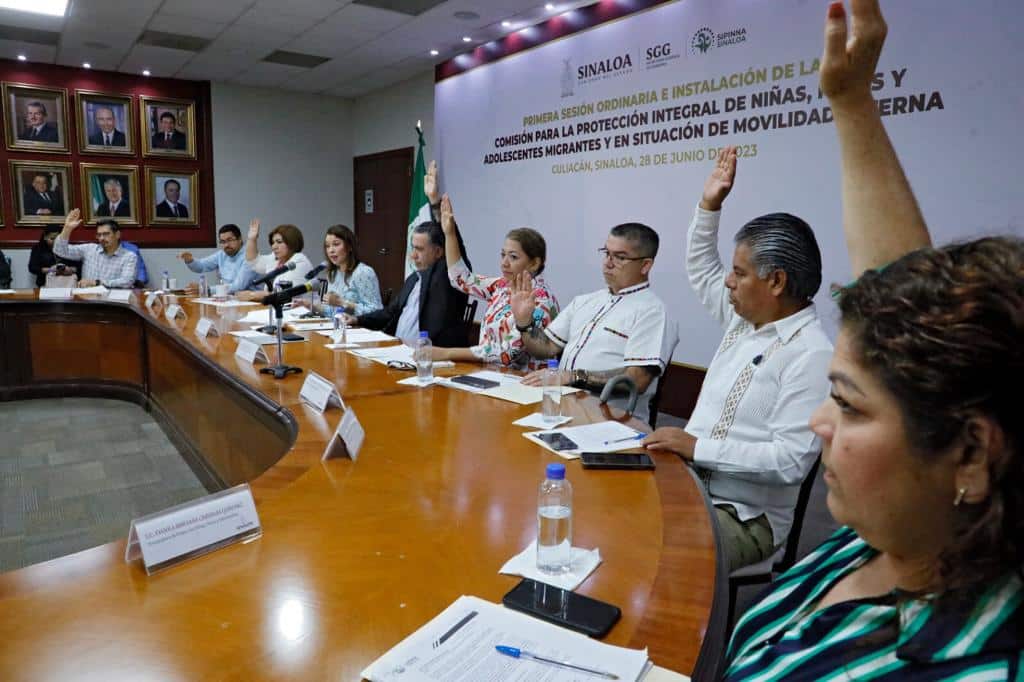 Comisión para la Protección Integral de Niñas, Niños y Adolescentes Migrantes y en Situación de Movilidad Interna