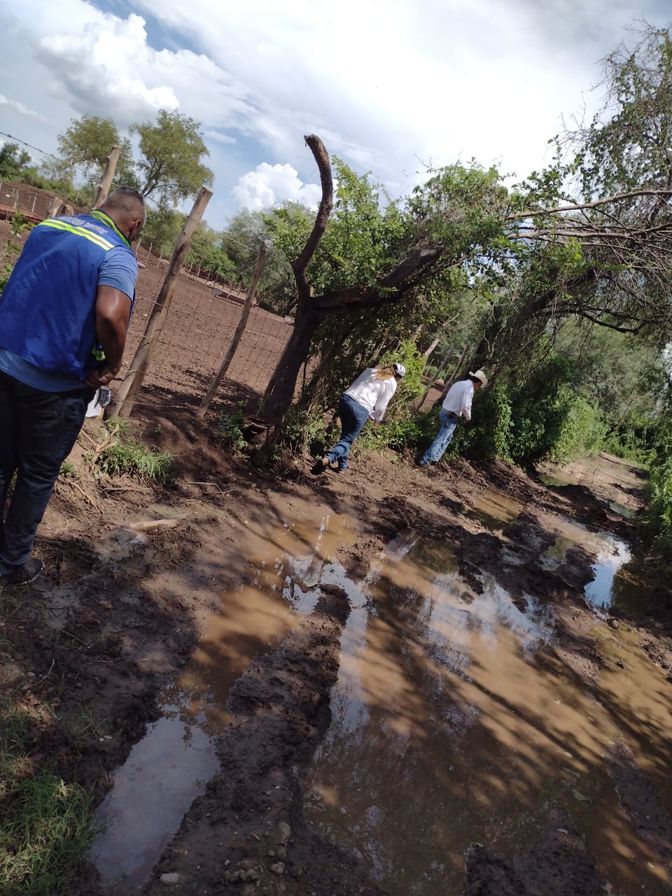 Coepriss se realizó una inspección de ambos ranchos ganaderos en El Fuerte.