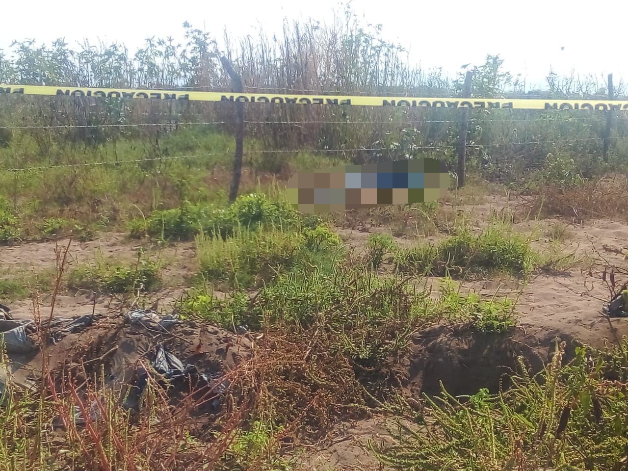 Una persona fue localizada muerta dentro de una parcela por la carretera estatal Escuinapa-Teacapán
