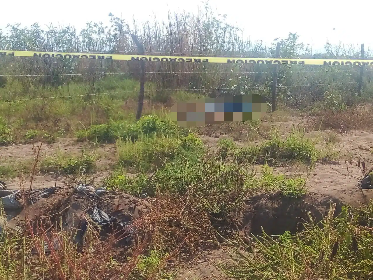 Una persona fue localizada muerta dentro de una parcela por la carretera estatal Escuinapa-Teacapán