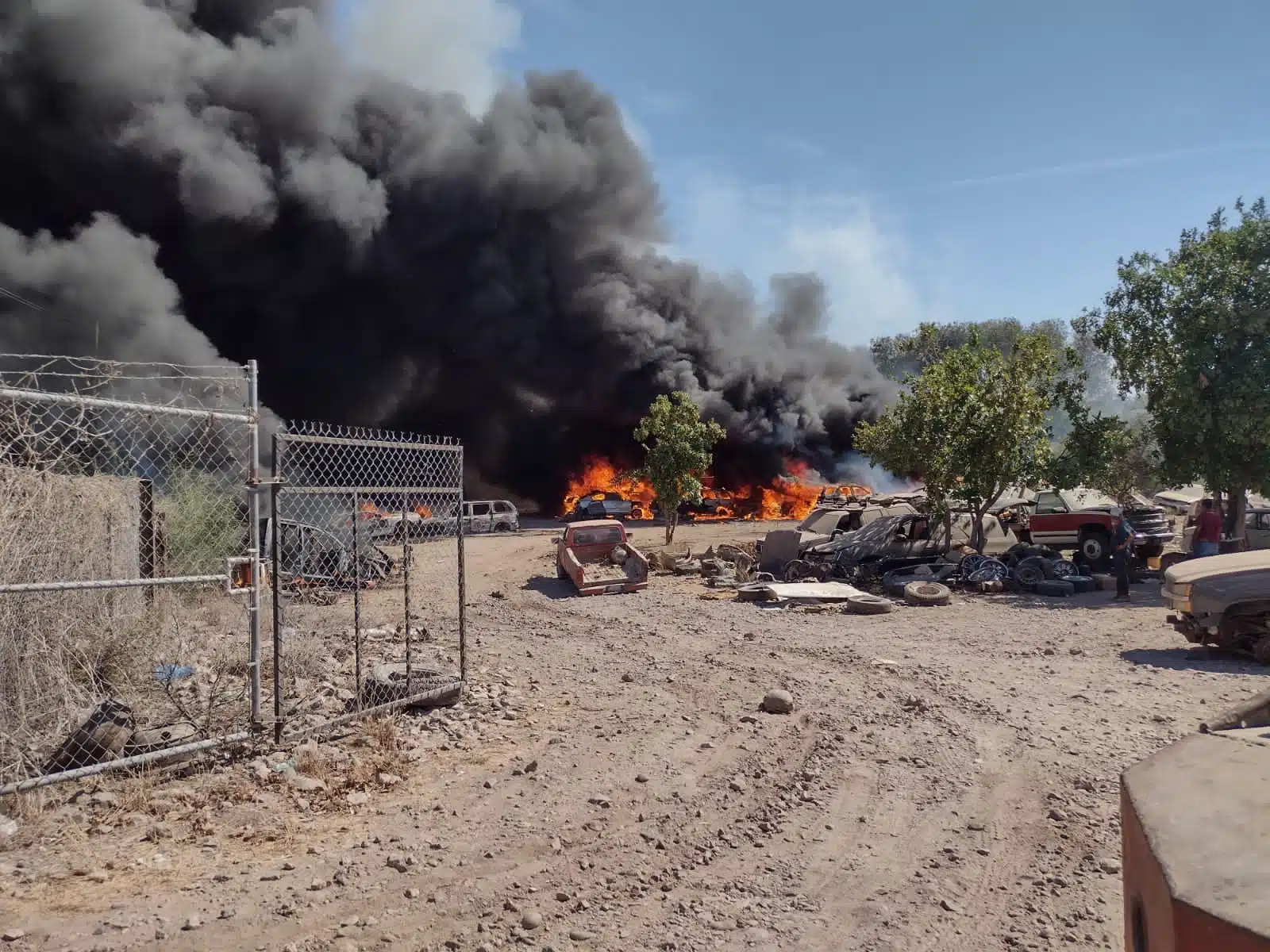 Se incendian al menos 40 vehículos en pensión vehicular de San Blas, El Fuerte