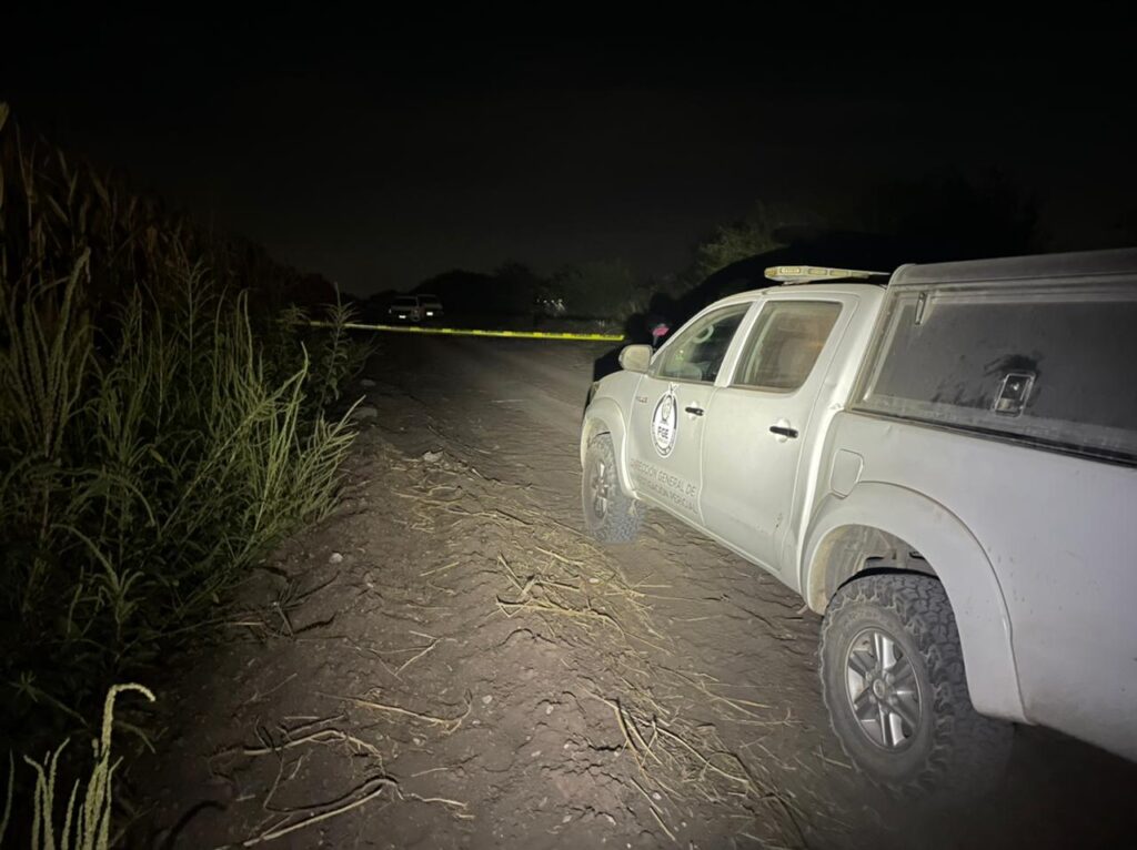 Asesinado en la Michoacana, Navolato