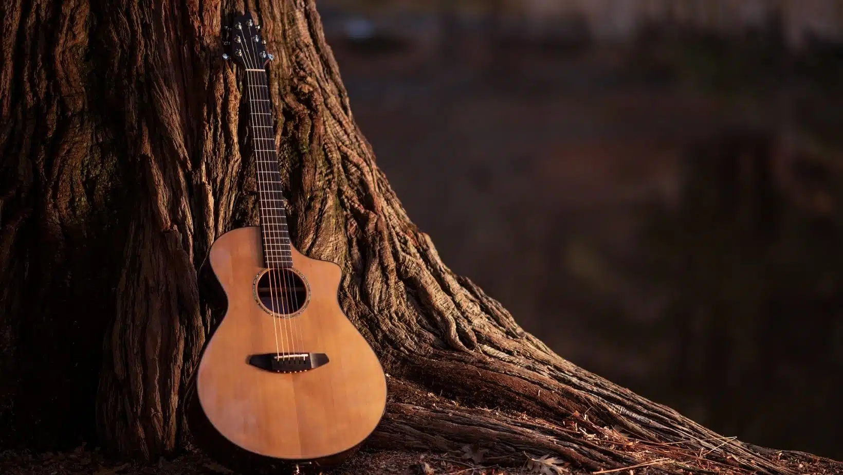 Guitarra en el tronco de un árbol