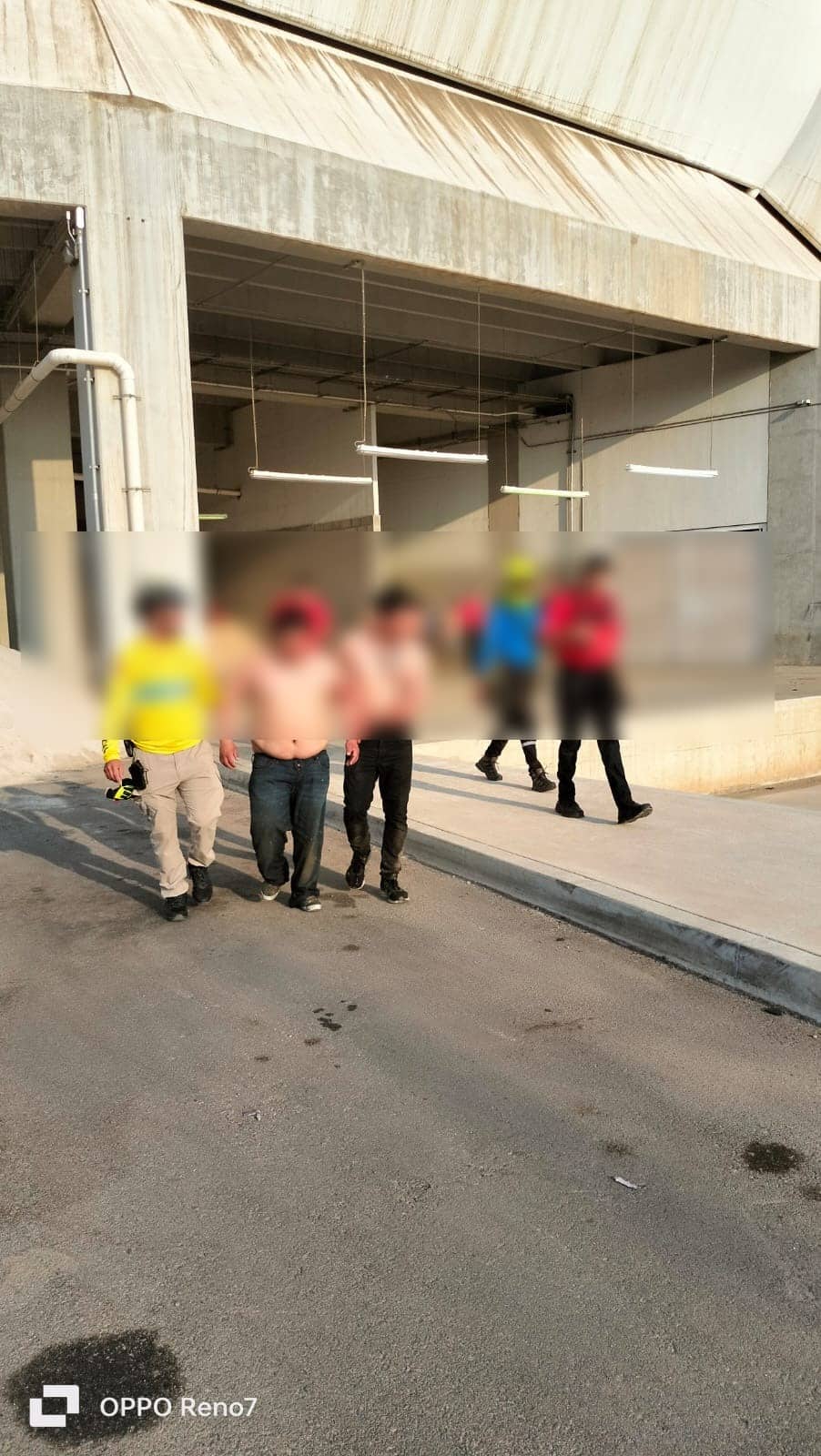 En Mazatlán: Siete trabajadores son atacados por abejas mientras limpiaban lona del "Kraken"