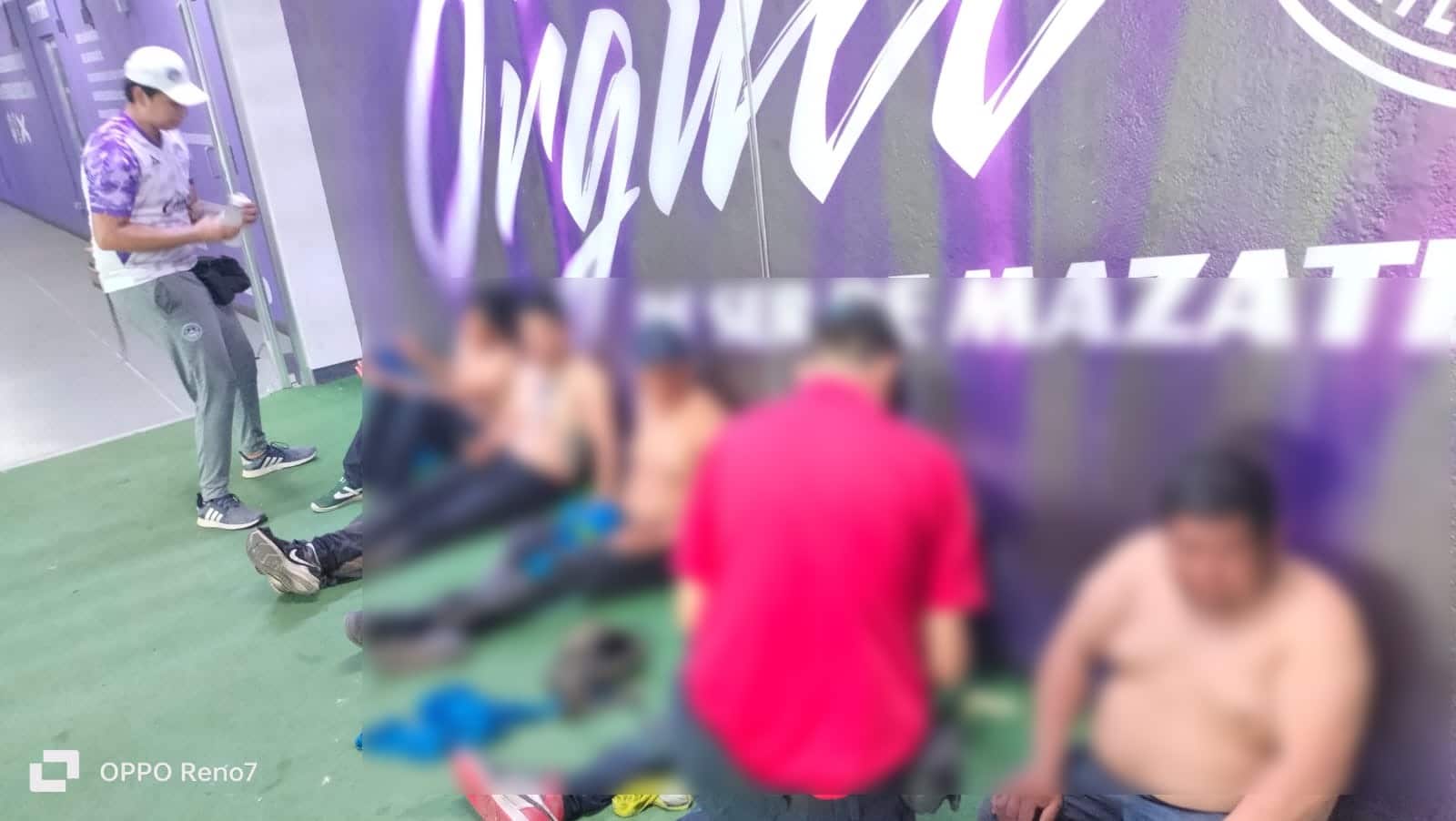En Mazatlán: Siete trabajadores son atacados por abejas mientras limpiaban lona del "Kraken"