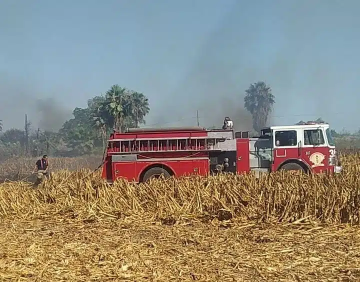 incendio en un terreno de un domicilio de la comunidad de Bagojo del Río, Ahome