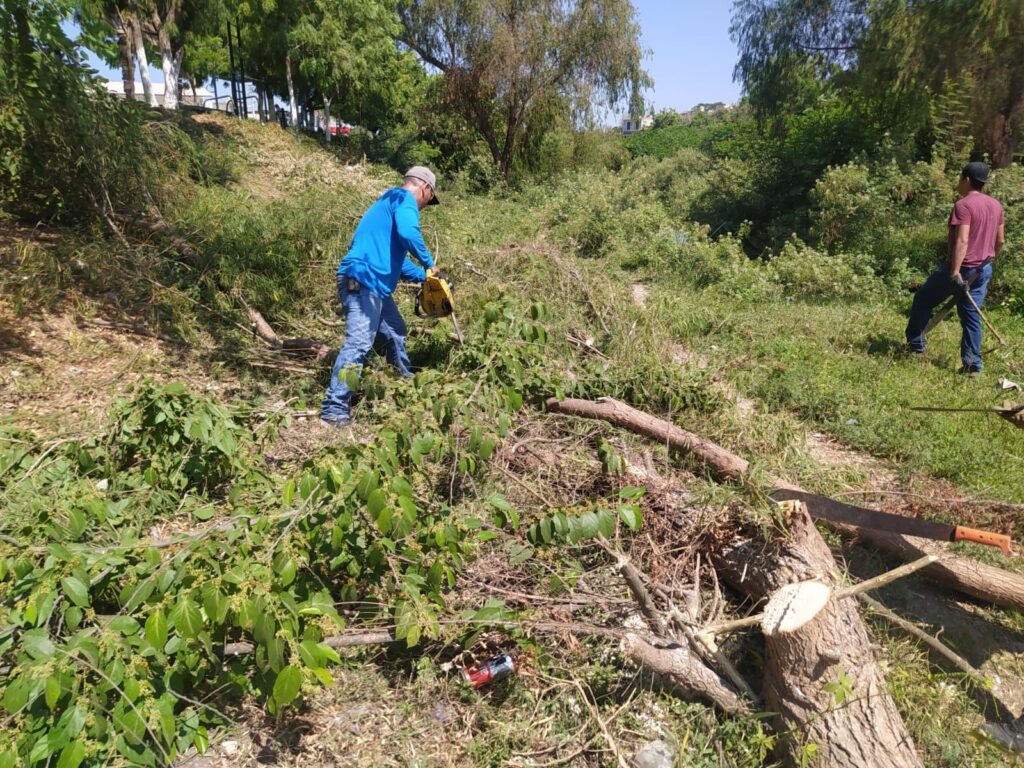Para evitar inundaciones, desazolvan el arroyo Buñigas en Escuinapa