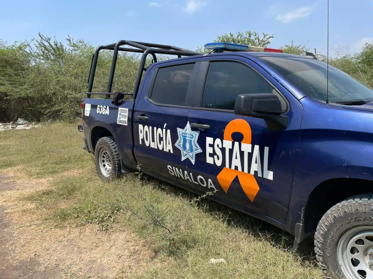 POLICIA ESTATAL