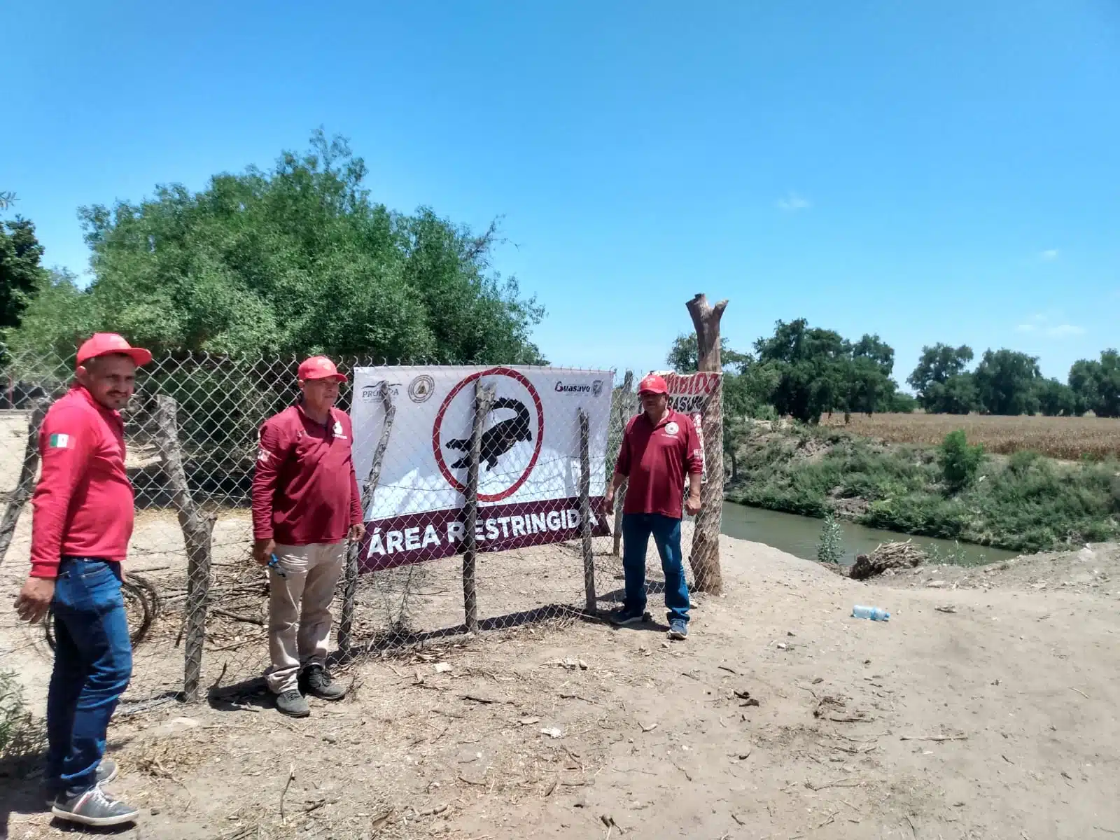 ¡Alerta zona de riesgo! Presencia de cocodrilo obliga a PC a advertir a bañistas en río Sinaloa