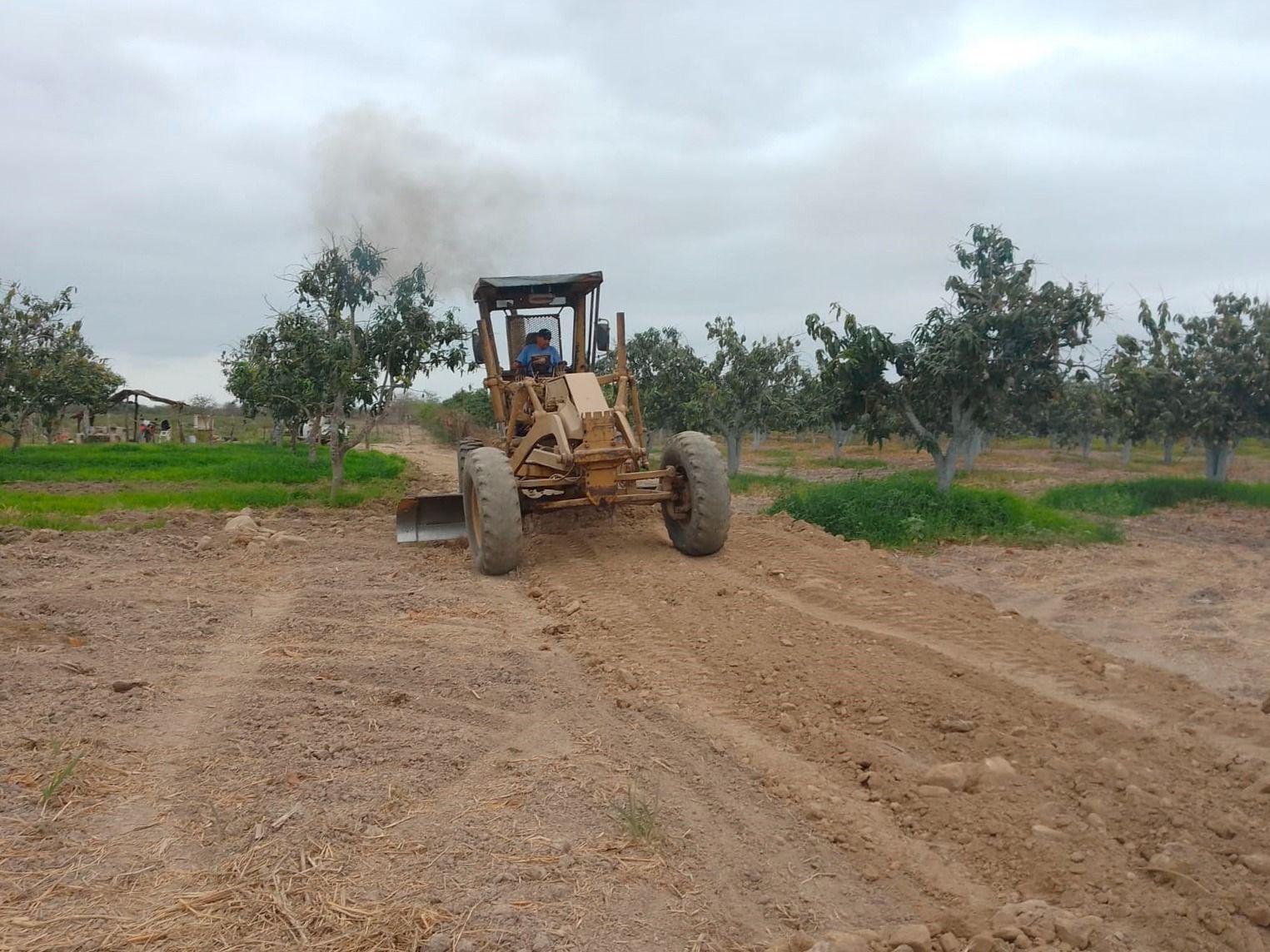 rehabilitación de caminos de huertas (2)