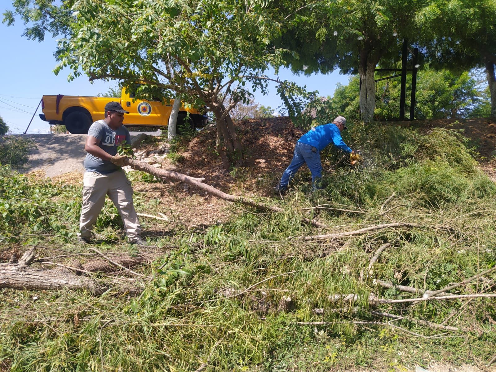 Para evitar inundaciones, desazolvan el arroyo Buñigas en Escuinapa