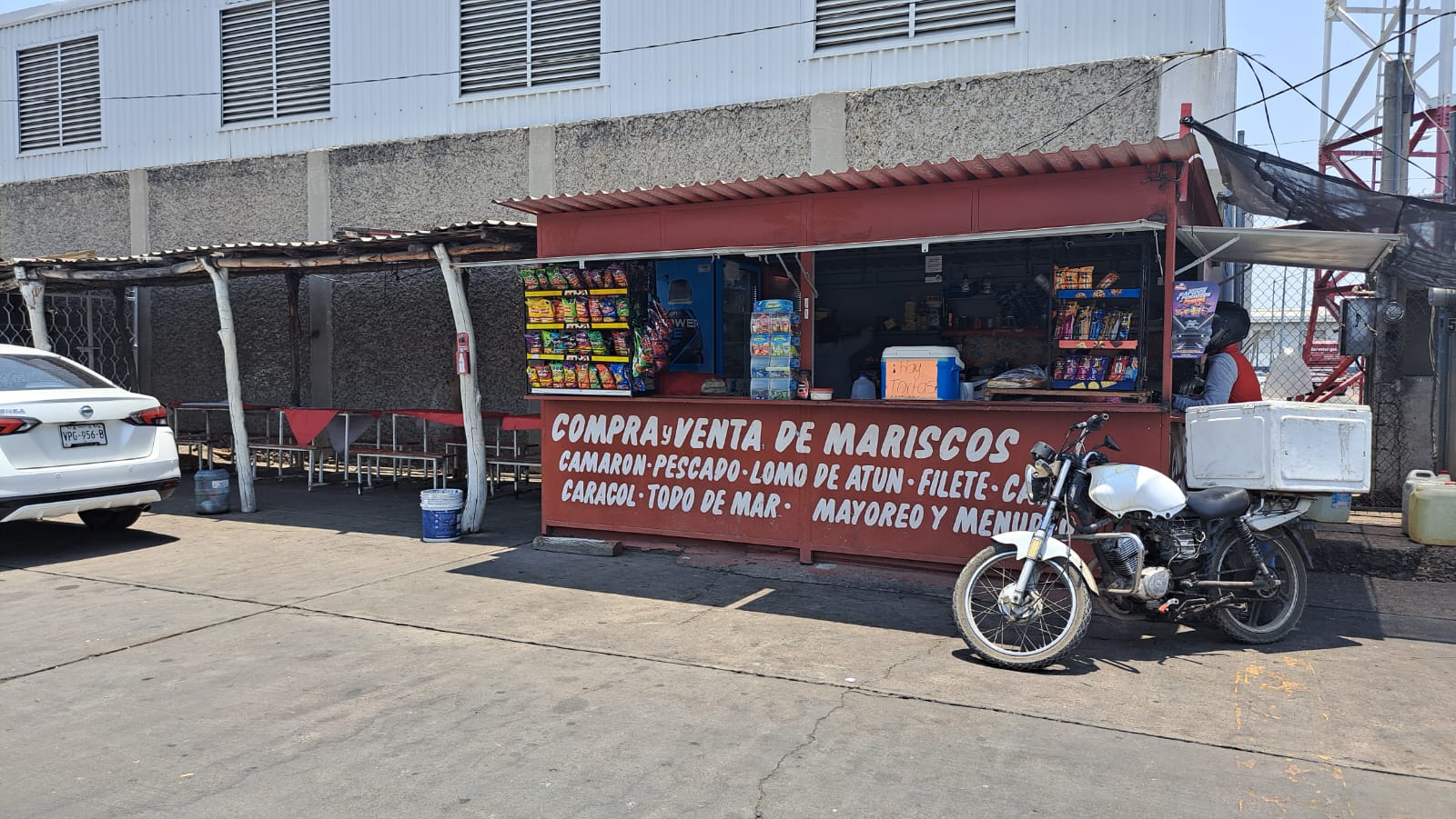 veda de camarón