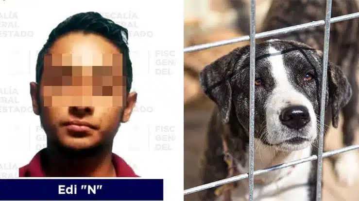 ¡Increíble! Asesina a dos perros tras ruptura con su novia en Tabasco