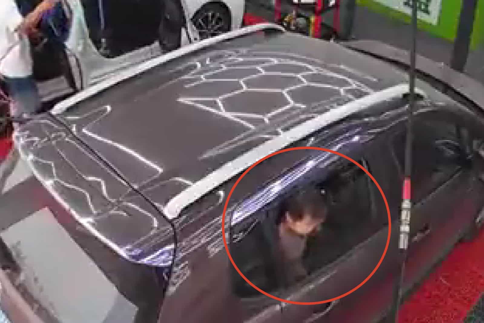 ¡Tremendo susto! Madre casi estrangula a su hija con la ventana del vehículo