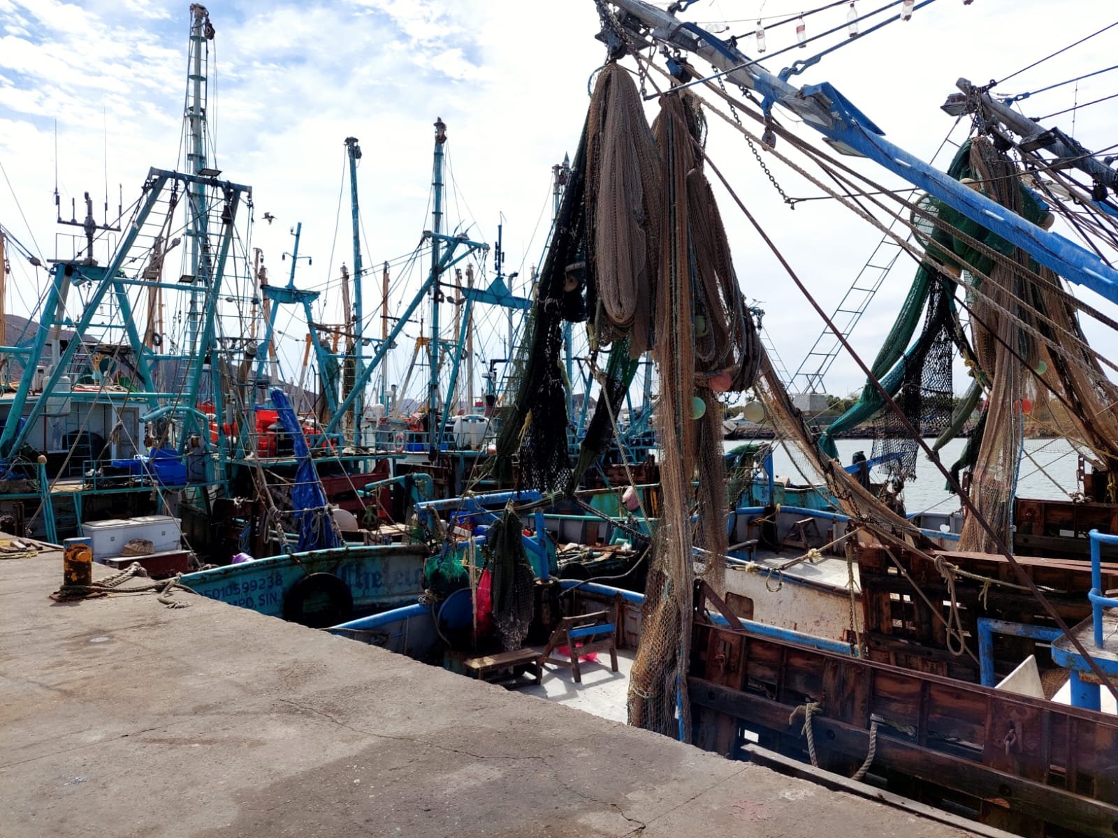 Barcos camaroneros